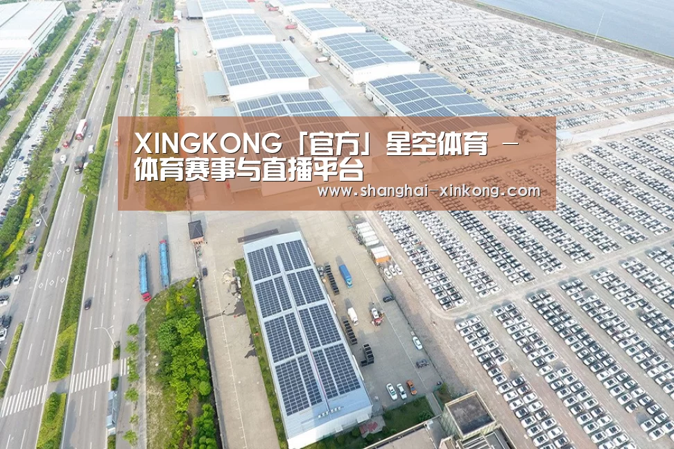 案例展示三