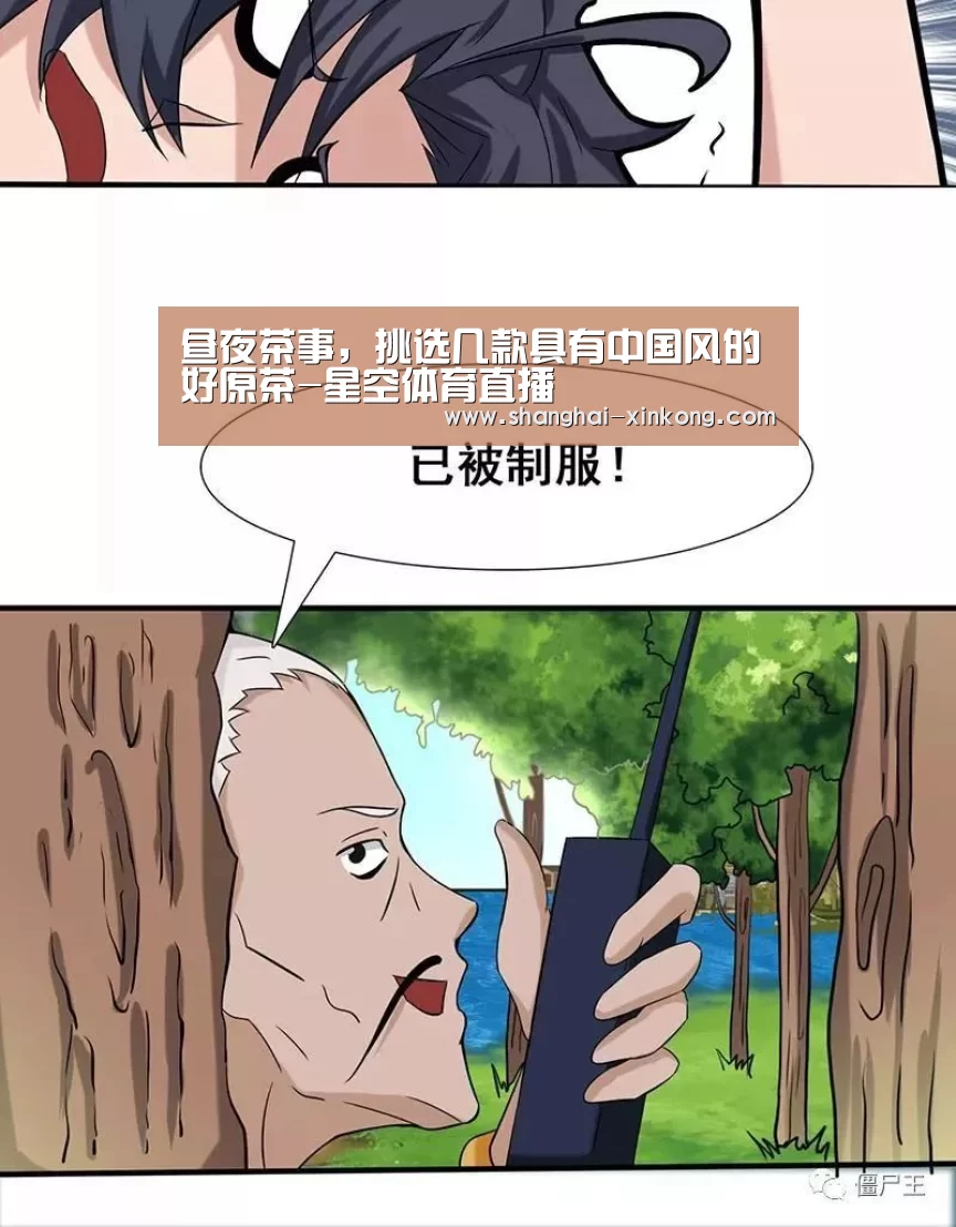 昼夜茶事,挑选几款具有中国风的好原茶-星空体育直播(图3) 星空娱乐
