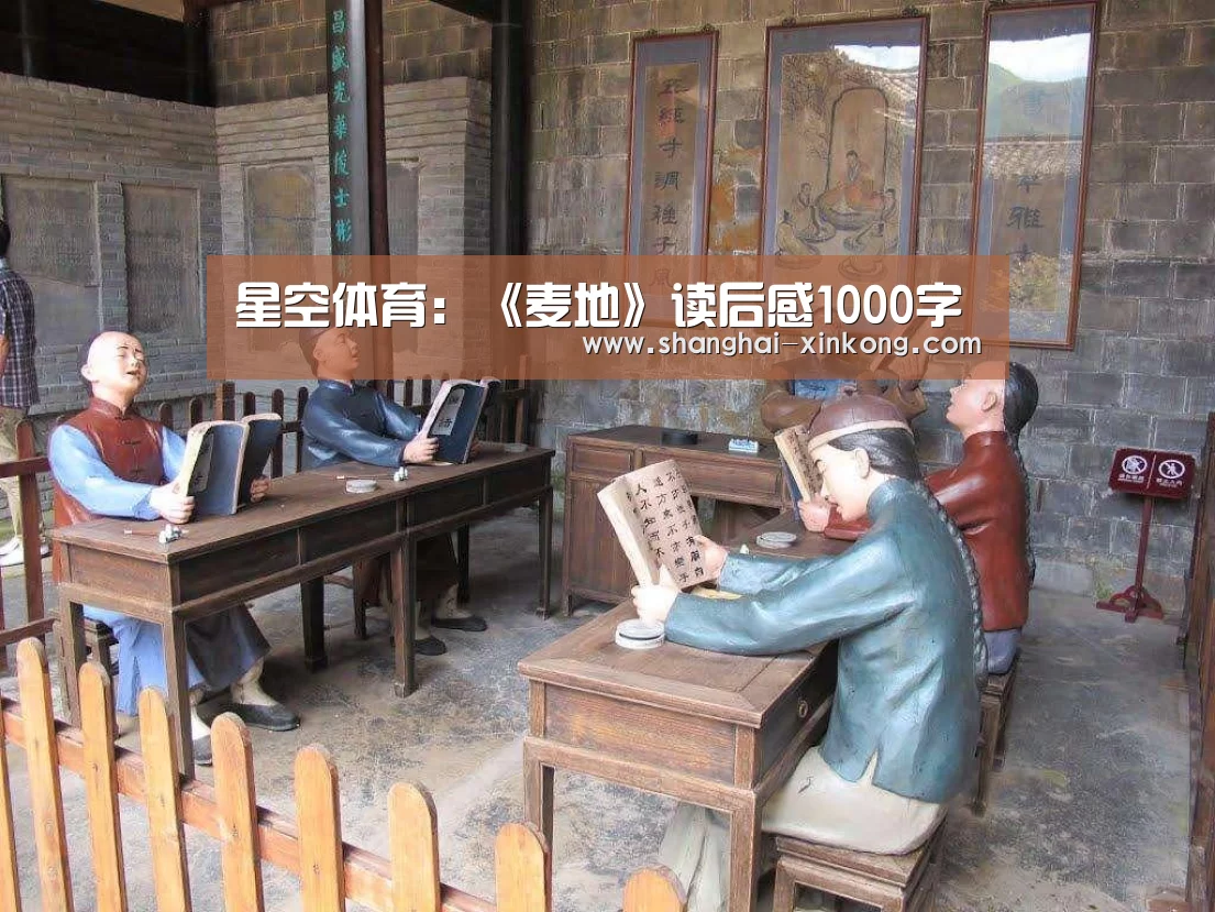 星空体育:《麦地》读后感1000字(图1) 星空娱乐